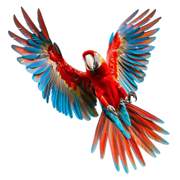 Flying Macaw parrot isolated on transparent background png