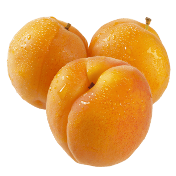 Apricot, fruit realistic Illustration. Realistic Transparent file. Mockup template for artwork graphic design png