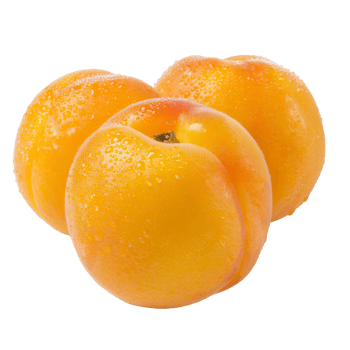 Apricot, fruit realistic Illustration. Realistic Transparent file. Mockup template for artwork graphic design png