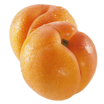 Apricot, fruit realistic Illustration. Realistic Transparent file. Mockup template for artwork graphic design png