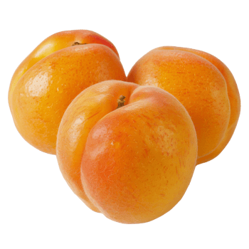 Apricot, fruit realistic Illustration. Realistic Transparent file. Mockup template for artwork graphic design png