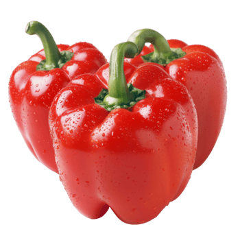 Red Bell Pepper, fruit realistic Illustration. Realistic Transparent file. Mockup template for artwork graphic design png