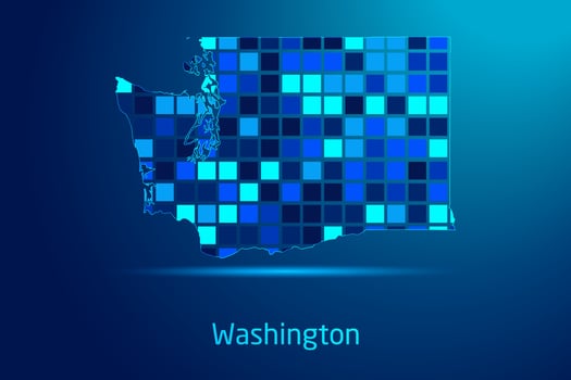 concepts of Washington Network Digital Technology Graphic illustration. Blue Color. Internet Futuristic Concept Map. vector