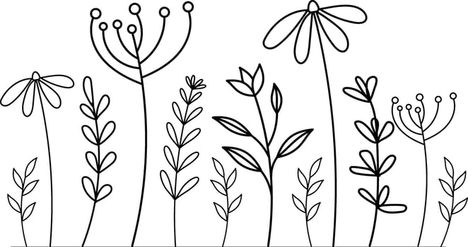 Hand drawn wild field flora, flowers, leaves, herbs, plants, branches. Minimal floral botanical line art. vector