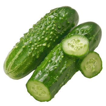 Cucumber, fruit realistic Illustration. Realistic Transparent file. Mockup template for artwork graphic design png