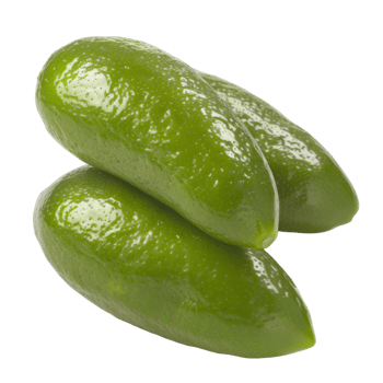 Finger Lime, fruit realistic Illustration. Realistic Transparent file. Mockup template for artwork graphic design png