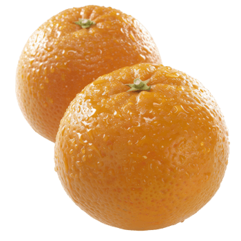 Orange, fruit realistic Illustration. Realistic Transparent file. Mockup template for artwork graphic design png