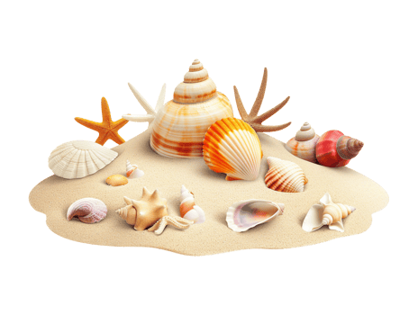Summer sand beach objects isolated png
