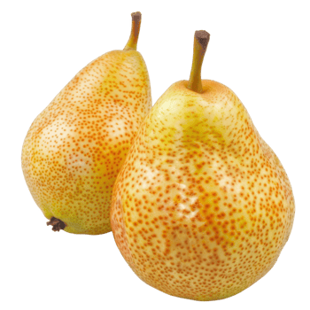 Pear, fruit realistic Illustration. Realistic Transparent file. Mockup template for artwork graphic design png