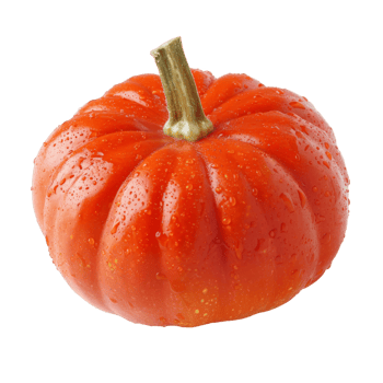 Pumpkin, fruit realistic Illustration. Realistic Transparent file. Mockup template for artwork graphic design png