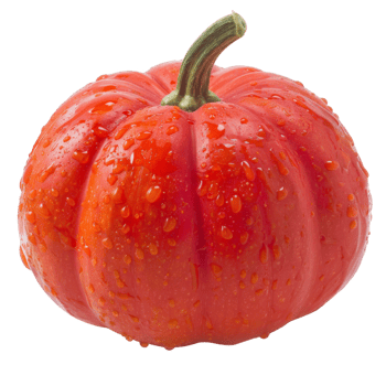Pumpkin, fruit realistic Illustration. Realistic Transparent file. Mockup template for artwork graphic design png