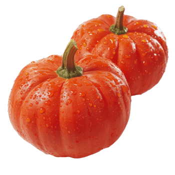 Pumpkin, fruit realistic Illustration. Realistic Transparent file. Mockup template for artwork graphic design png