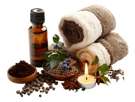 Wellness Essentials Isolated Transparent png