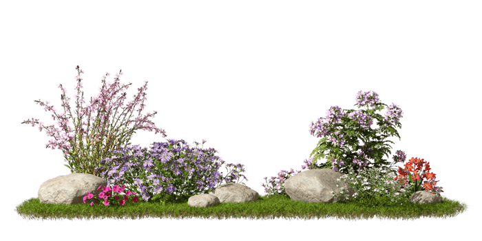 Flower gardening composition design landscape cutout backgrounds 3d illustration png