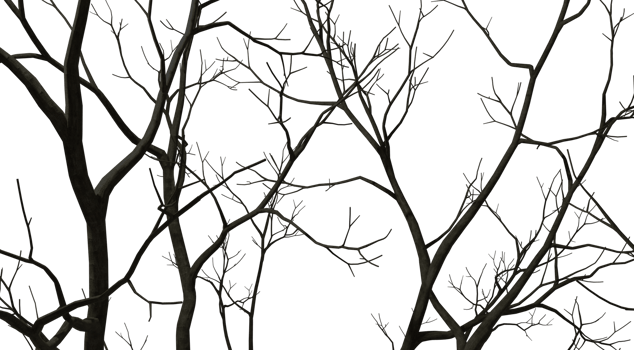 Silhouette bare trees branches forested 3d render png