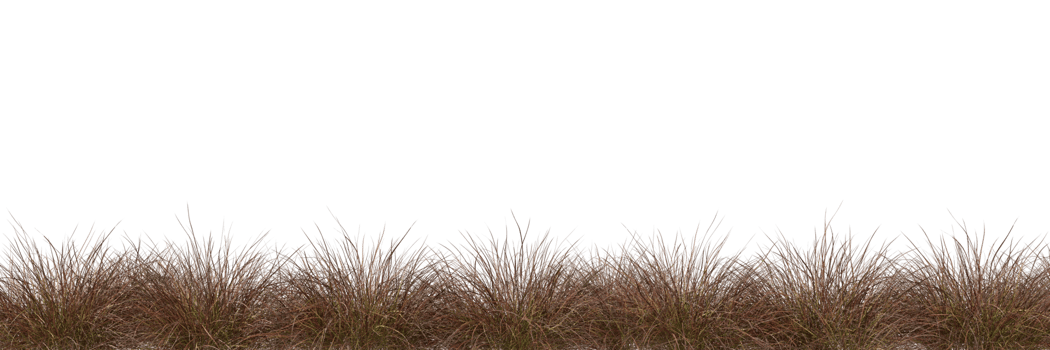Savanna grass meadow field row cutout transparent backgrounds 3d render png