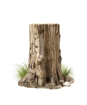 Cut-out tree stump roots hardwood 3d render png