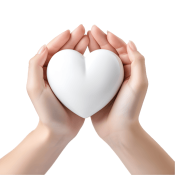 Female hands holding a white heart on transparent background png