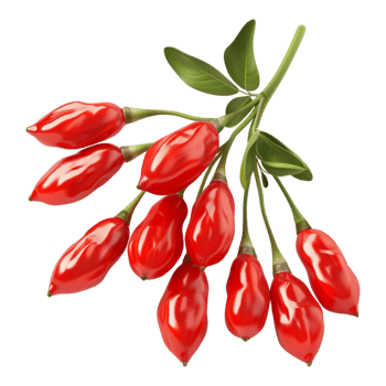 Goji Berry on Transparent Background png