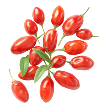 Goji Berry on Transparent Background png