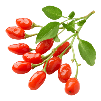 Goji Berry on Transparent Background png