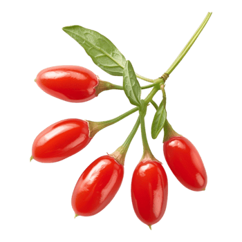 Goji Berry on Transparent Background png