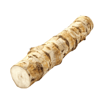 Ginger Stick on Transparent Background png