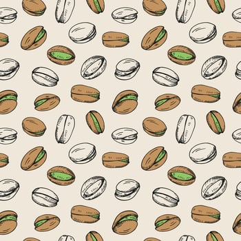 Pistachios nuts seamless pattern. Hand drawn engraved repeating background with nuts. Organic food ingredient. Design for label, card, print, paper, wrapping, textile, wallpaper vector