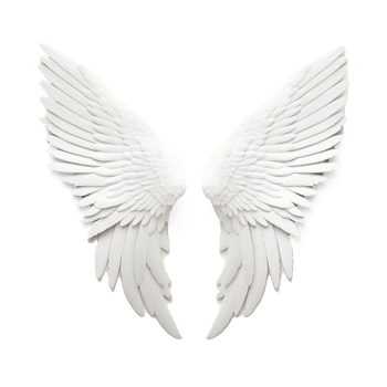 white angel wings on transparent background png