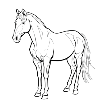 Running Horse Sketch Art on Transparent Background png