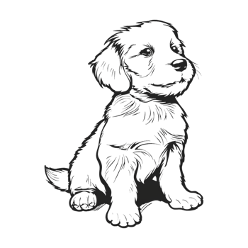 Cute Dog Sketch Art on Transparent Background png