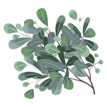 Leaves and branches, Imitation of watercolor, isolated on white. Sketched wreath, floral and herbs garland. Handdrawn Watercolour style, nature illustration. vector