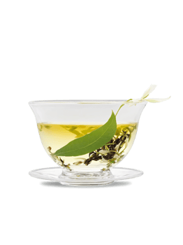 Jasmine green tea glass gaiwan unfurling tea leaves floral fragrance zen mood png