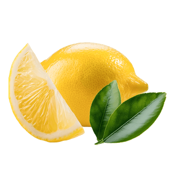 Group of fresh lemon and half lemon isolated, yellow lemon cut out. png