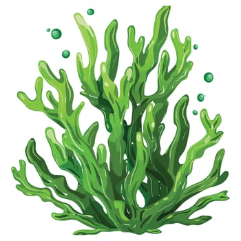 Green Seaweed Illustrations, Aquatic Marine Algae vector