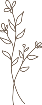 Handdrawn Organic Fern Branches illustration png