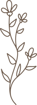 Handdrawn Organic Fern Branches illustration png