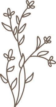 Handdrawn Organic Fern Branches illustration png
