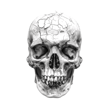 Halloween Horror Human Skull on Transparent Background png
