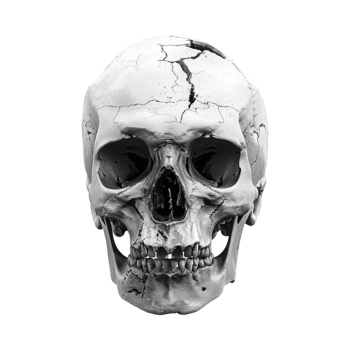 Halloween Horror Human Skull on Transparent Background png