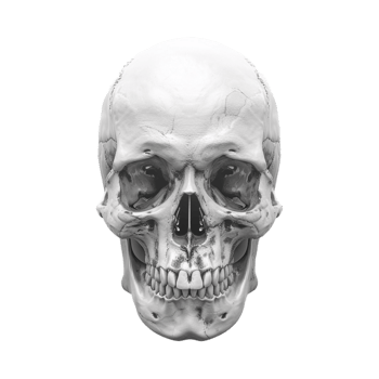 Halloween Horror Human Skull on Transparent Background png