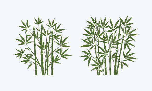 Set of green bamboo silhouette with leaves isolated on light green background vector