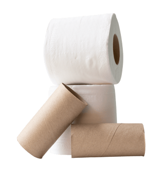 Front view of white tissue paper rolls with cores in stack isolated with clipping path in file format png