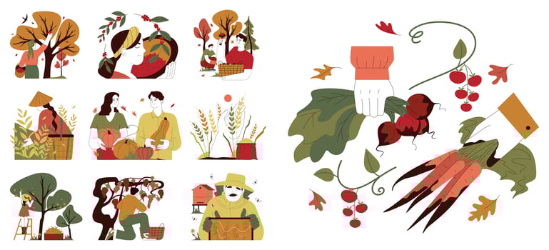 Harvesting season set. Farmers gathering or collecting ripe vegetables vector