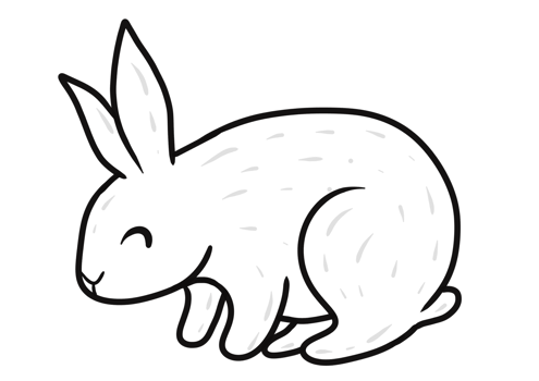 rabbit cartoon characters png