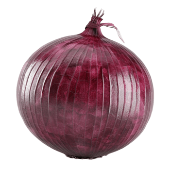 Red Onion on Transparent Background png