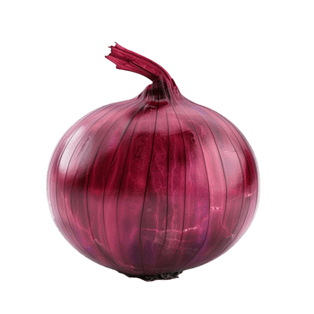 Red Onion on Transparent Background png