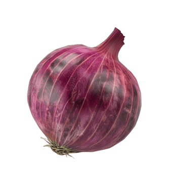 an onion is shown on a transparent background png