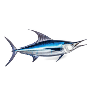 blue marlin fish on transparent background png