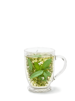 Tulsi holy basil tea glass mug green leaves purple flowers sacred healing herb png